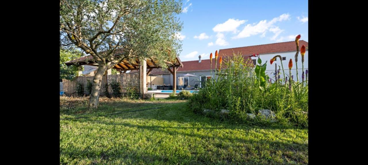Siritovci Olive Tree House With Jacuzzi, Wifi And 40M2 Pool 빌라 외부 사진