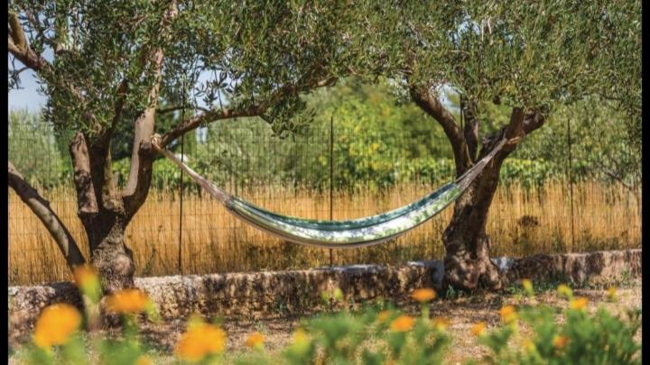 Siritovci Olive Tree House With Jacuzzi, Wifi And 40M2 Pool 빌라 외부 사진
